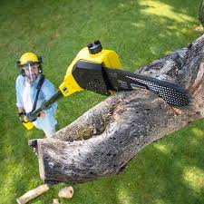 Best Lawn Maintenance Plans  in Manchester Center, VT